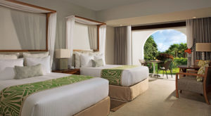 Dreams dominicus laromana