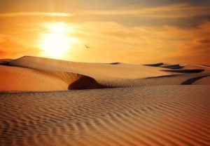 Morocco desert